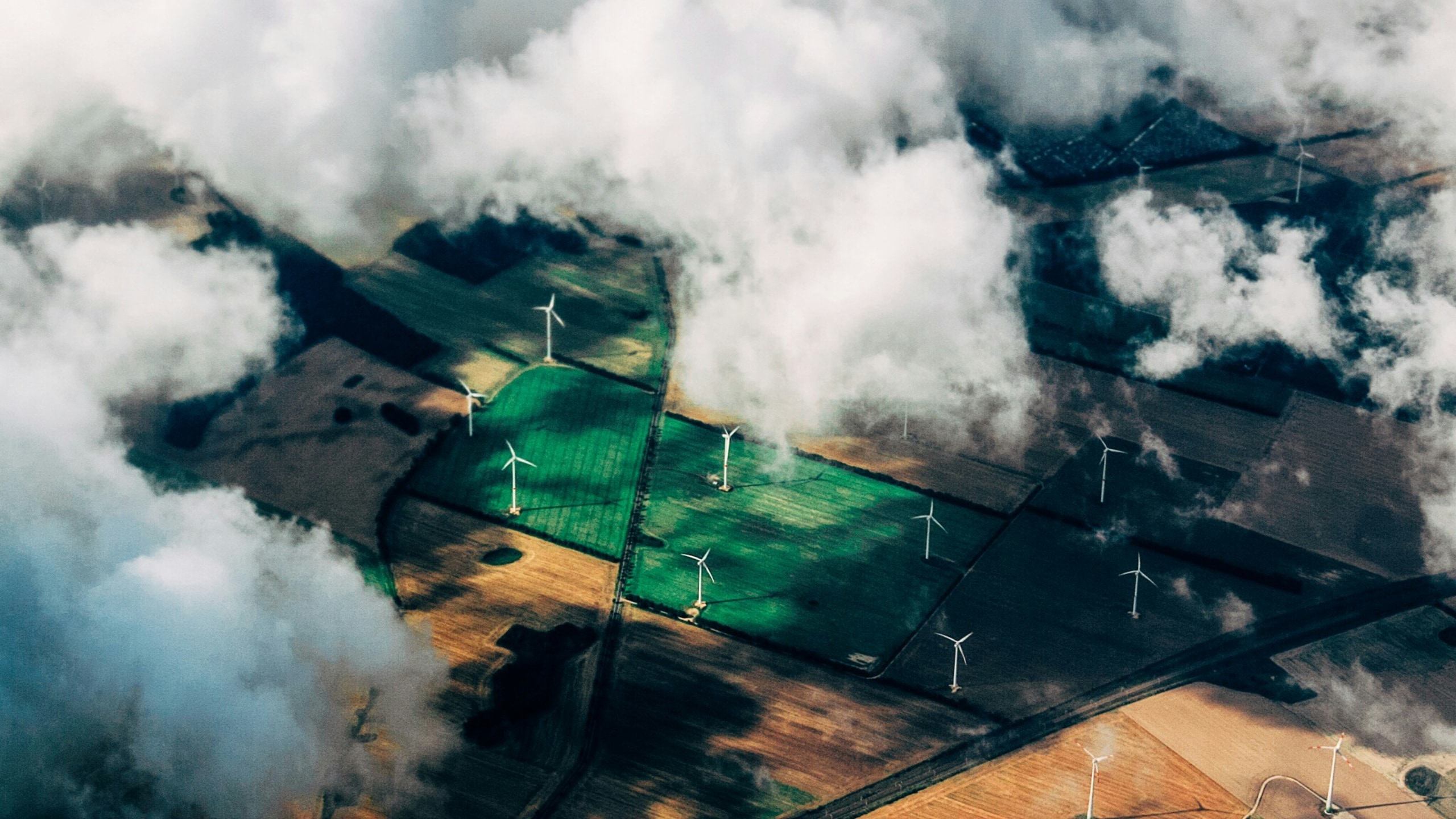 The Net Zero Business Briefing: What the energy transition means for your bottom line
